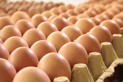 铜川鸡蛋检测价格,鸡蛋检测机构,鸡蛋检测项目,鸡蛋常规检测